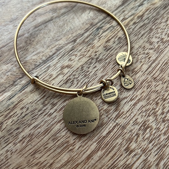 Chicago Blackhawks bangle - Picture 3 of 3